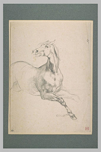 Cheval couché sur le ventre, jambes en avant, relevant la tête_0