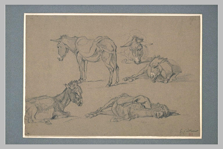 Cinq études d'âne_0