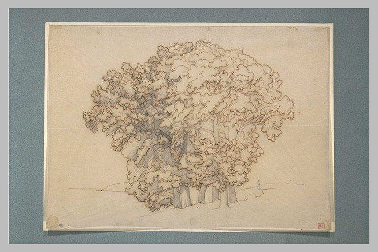 Bouquet d'arbres_0