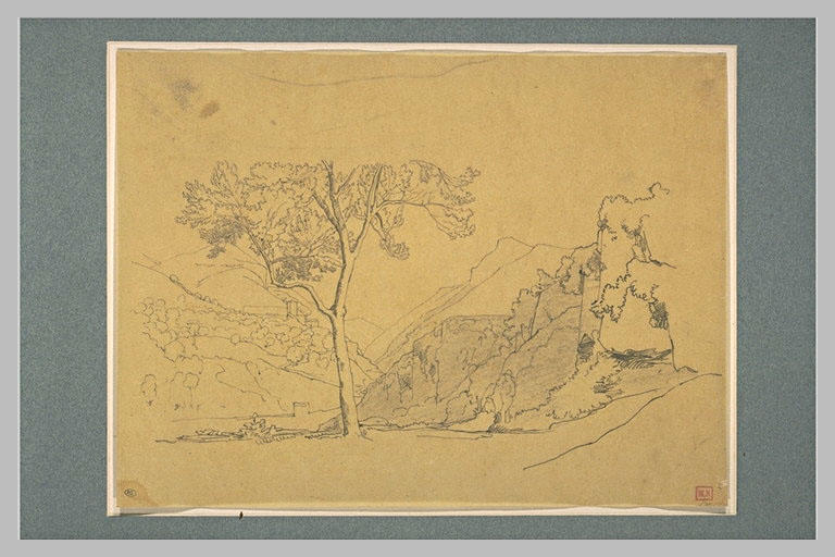 Arbre au milieu d'un vallon_0