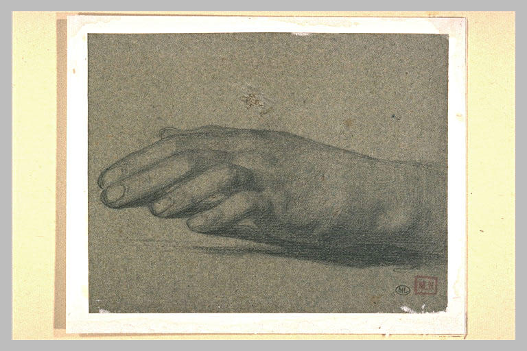Etude de main gauche, posée_0