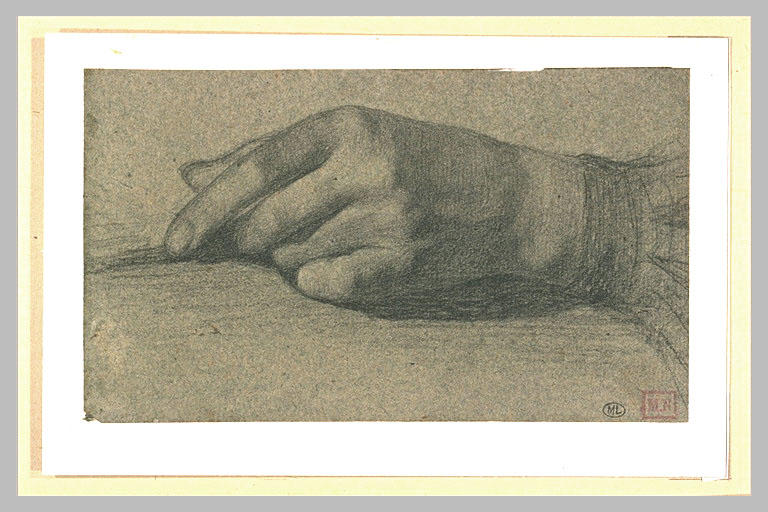 Etude de main gauche, les doigts repliés_0