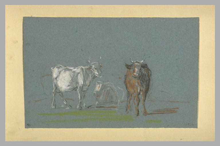 Trois vaches dans un champ_0