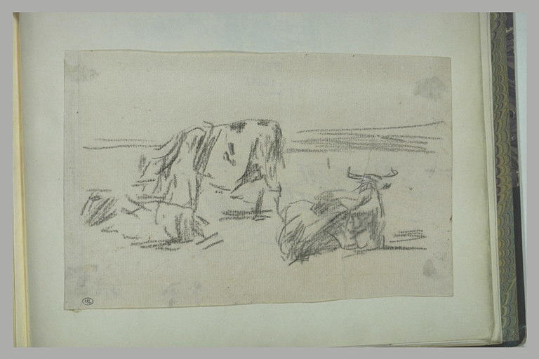 Etudes de trois vaches_0