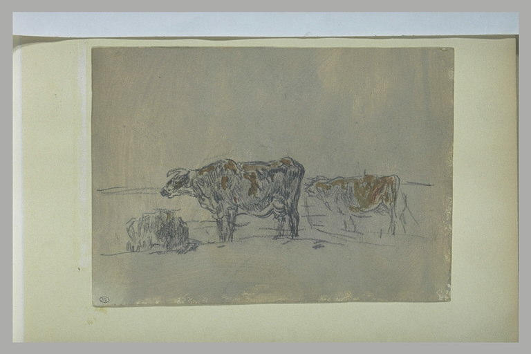Deux vaches debout, une couchée_0