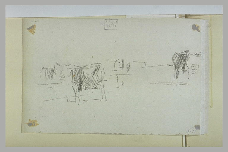 Vaches au pâturage_0
