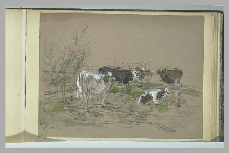 Vaches au pacage_0