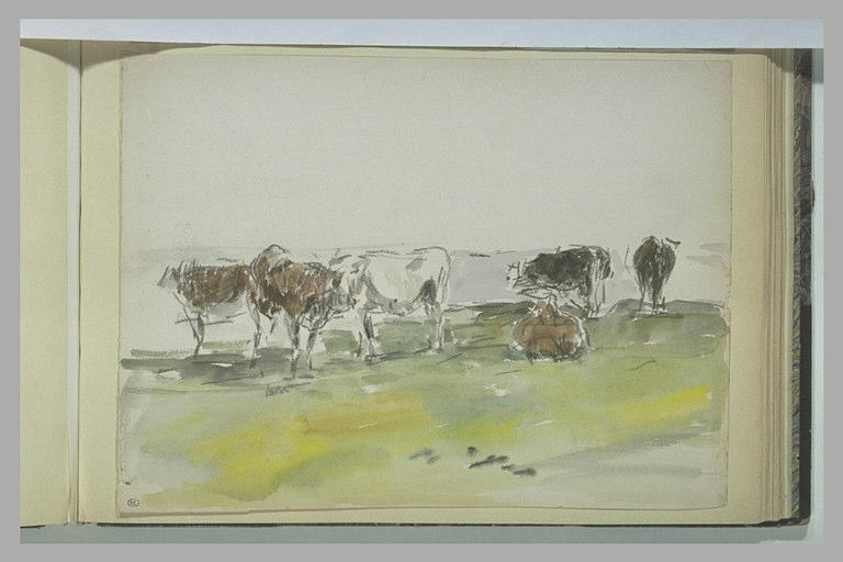 Vaches au pacage_0