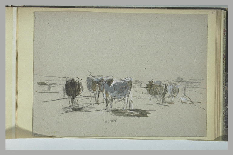 Etude de vaches debout_0