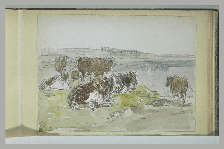 Vaches au pâturage_0