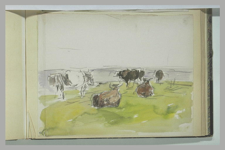 Vaches au pâturage_0