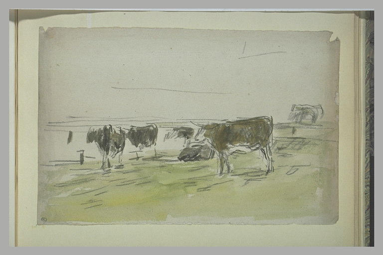 Vaches au pâturage_0