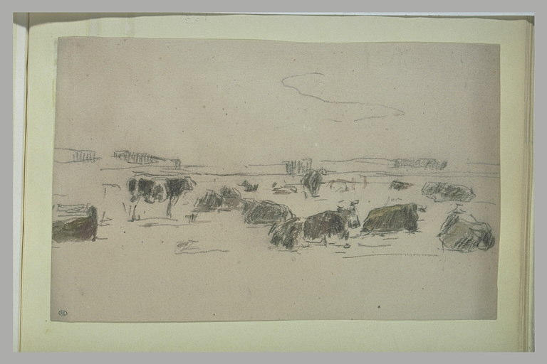 Boeufs et vaches dans un pâturage_0