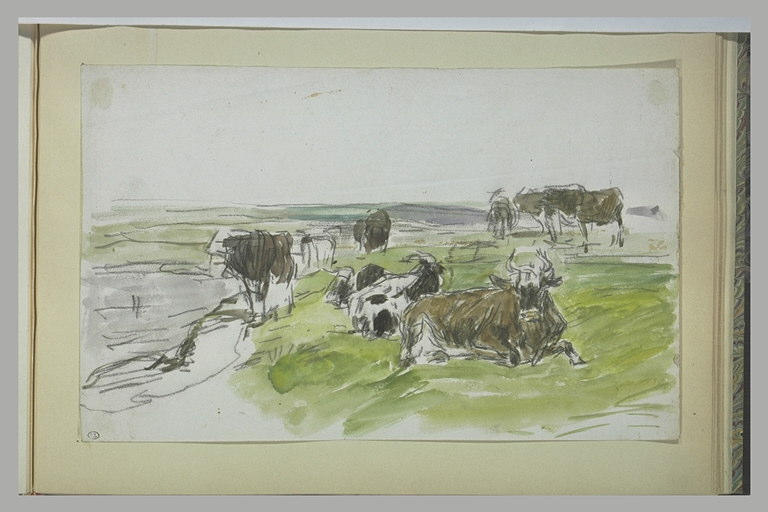 Vaches dans un pâturage_0