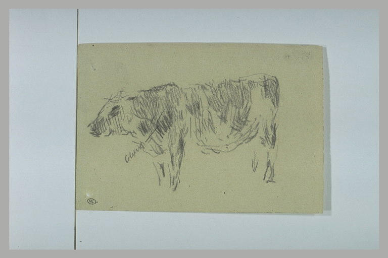 Vache tournée vers la gauche_0