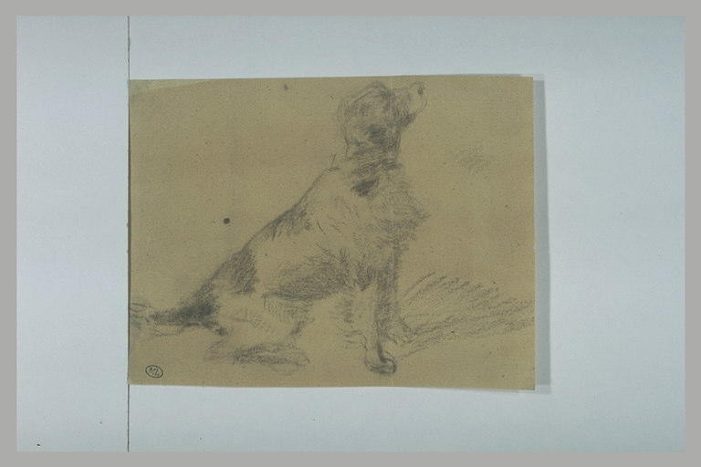 Chien assis, de profil vers la droite, le nez en l'air_0