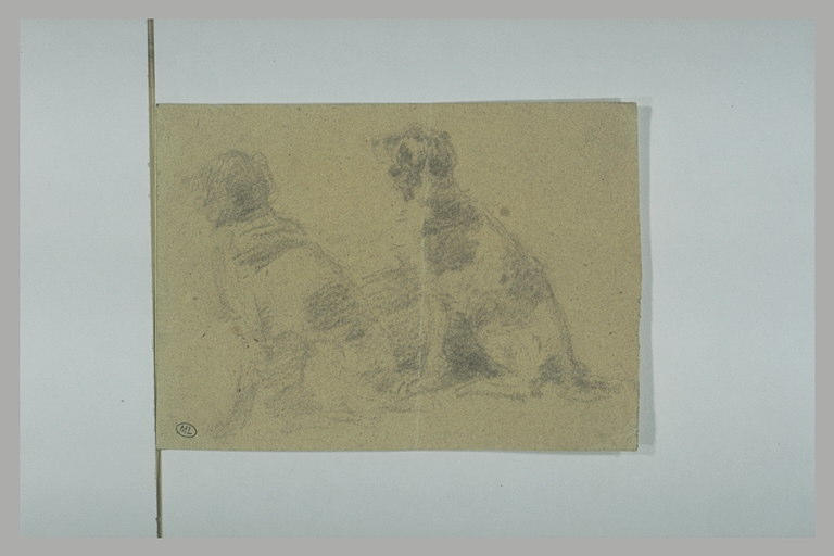 Deux chiens, assis, tournés à gauche_0