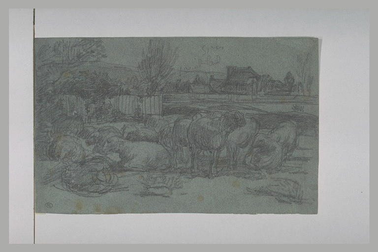 Moutons dans un prés devant des bâtiments de ferme_0