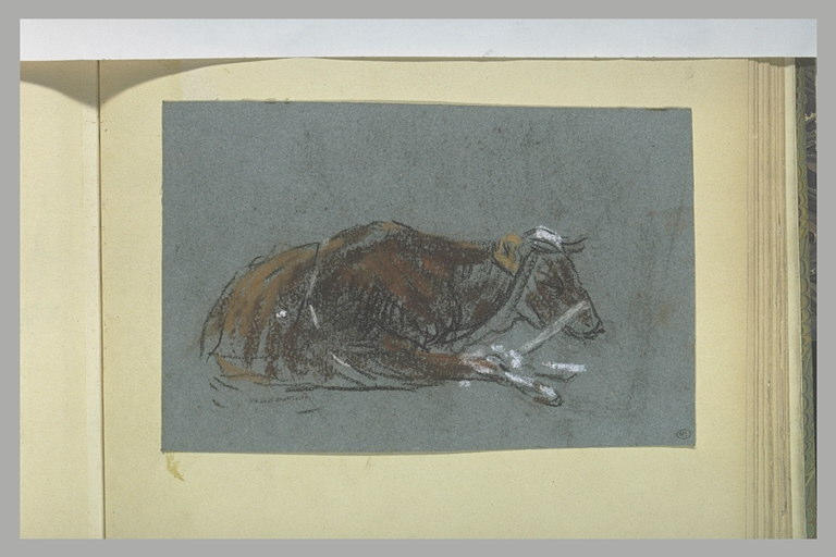 Vache couchée_0