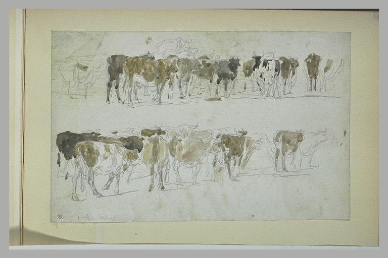 Deux études de troupeaux de vaches_0