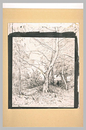 Homme au milieu d'arbres et de taillis_0