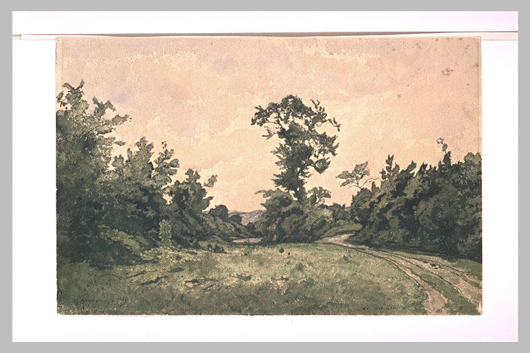 Prairie entourée d'arbres et longée par un chemin_0