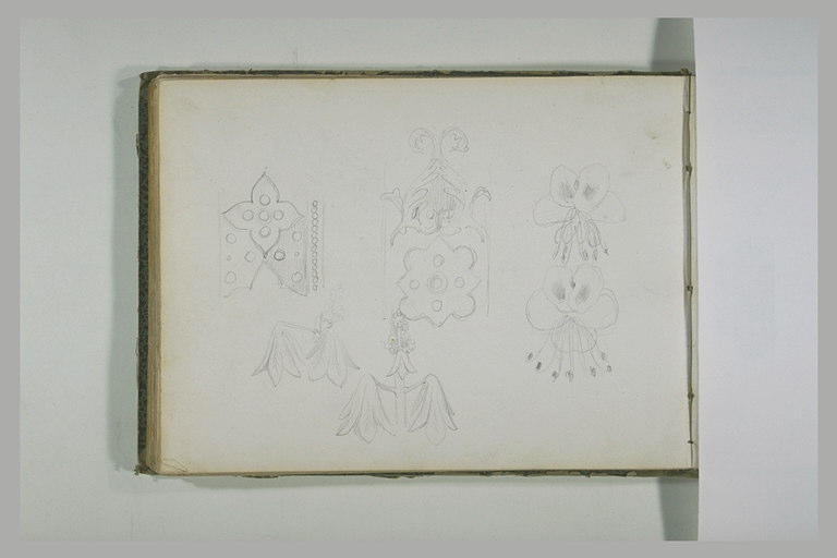 Motifs décoratifs_0