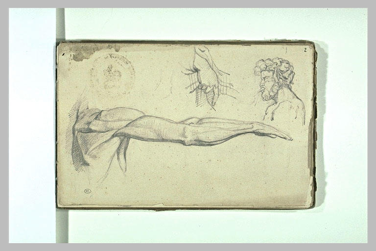 Etude anatomique d'un bras ; mains ; tête d'homme barbu_0