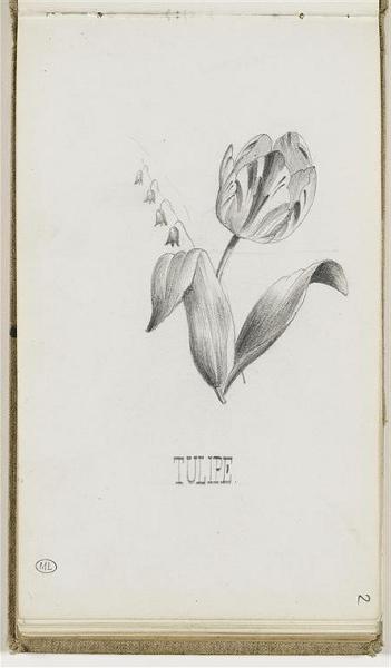 Une tulipe et un brin de muguet_0