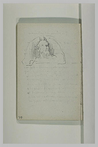 Tête d'homme barbu et annotation_0