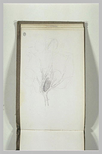 Branchages_0