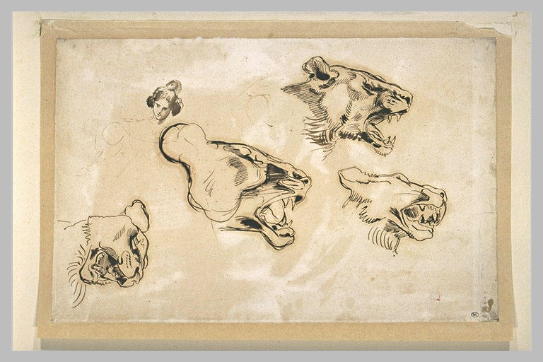 Tête de femme et quatre études de tête de lionne_0