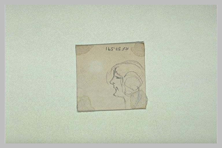 Tête de femme, de profil à gauche, menton en galoche_0