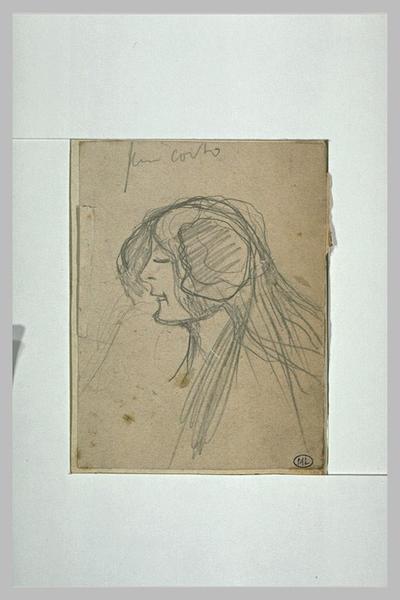 Tête de femme aux longs cheveux, de profil à gauche_0