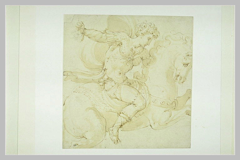Cavalier sur un cheval au galop_0