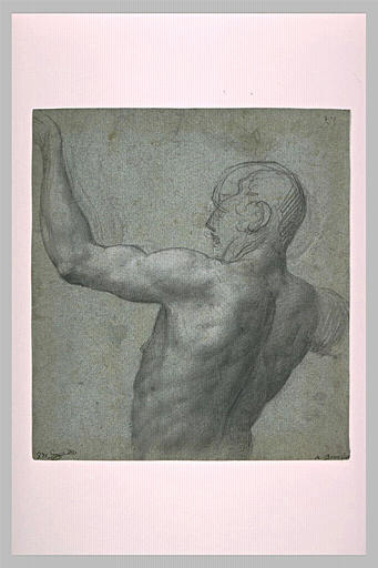 Demi-figure d'homme nu vu de dos, le bras gauche levé_0