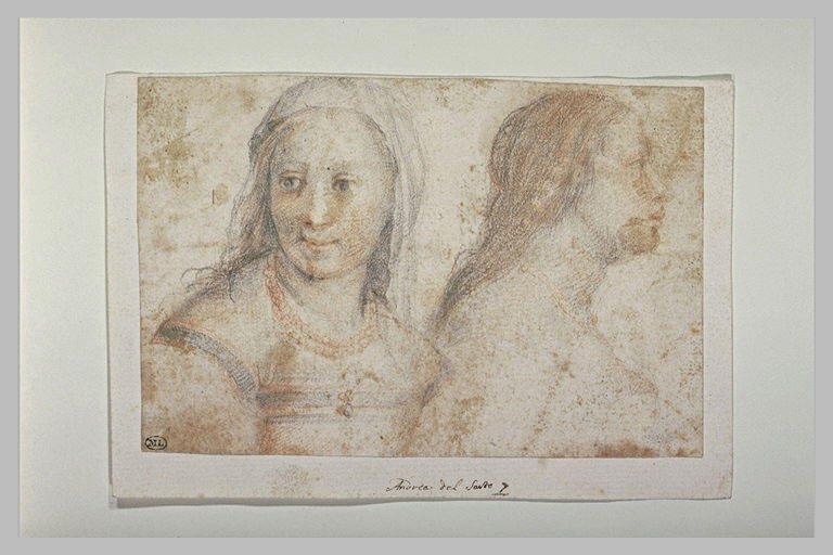 Deux bustes de femme, l'une vue de face, l'autre de profil_0