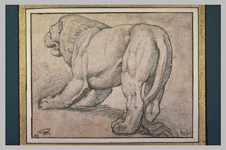 Une lionne vue par derrière tournée à gauche_0