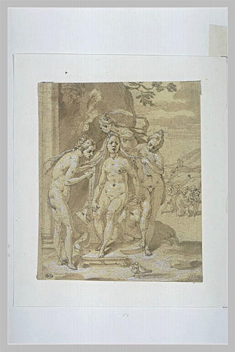 La toilette de Vénus_0