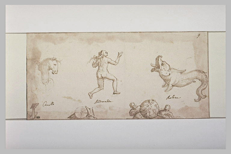 Le signe d'Andromède, de la Baleine, du Cheval_0