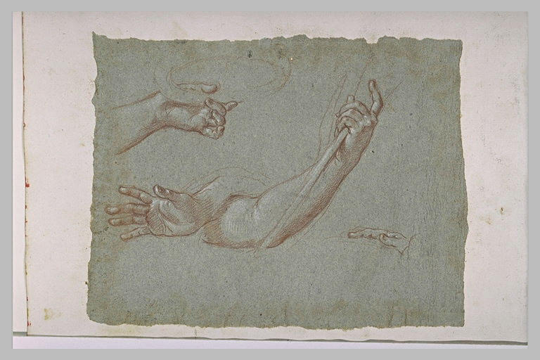 Etudes de doigts, de mains dont une tenant un objet circulaire et d'un bras_0