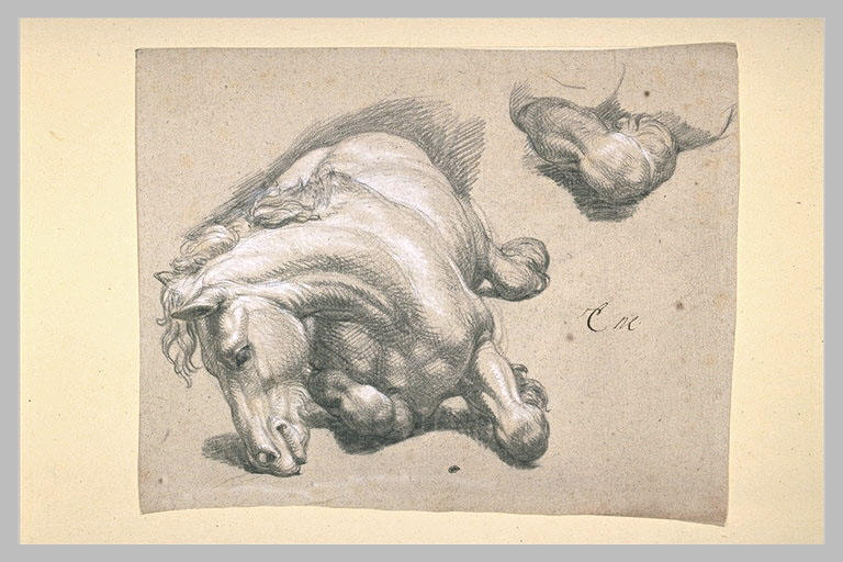 Cheval couché_0