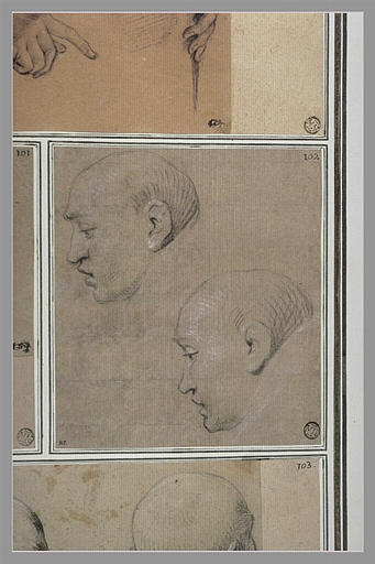 Deux têtes, de profil vers la gauche : étude pour le quatorzième tableau_0