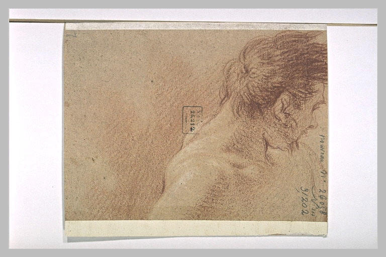 Buste d'homme, tourné vers la droite_0