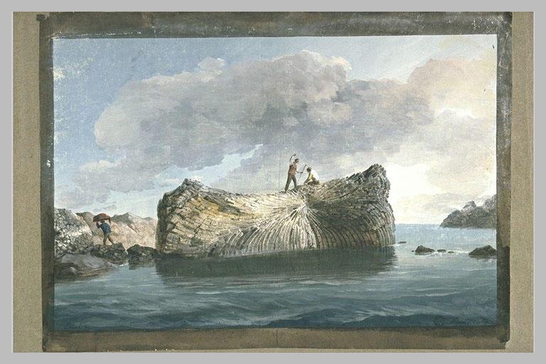 Un des écueils des Cyclopes près du port de la Trezza_0