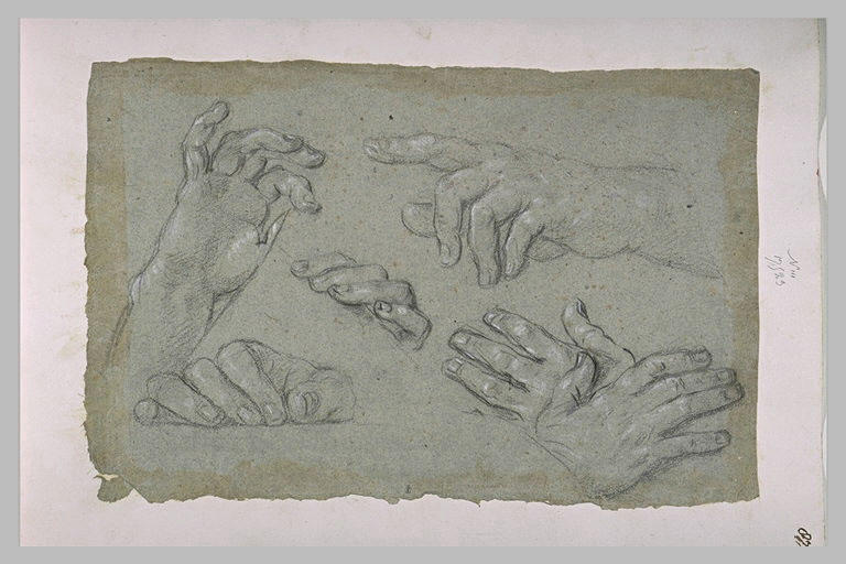 Etudes de mains et de doigts_0