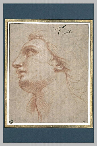 Tête de femme, de profil_0