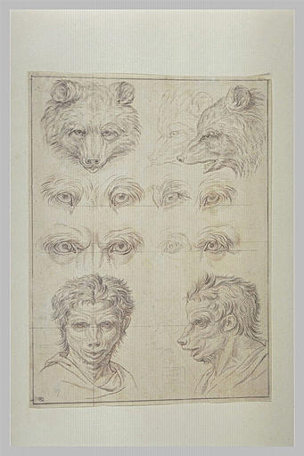 Huit yeux d'ours, trois têtes d'ours et deux têtes d'hommes leur ressemblant_0