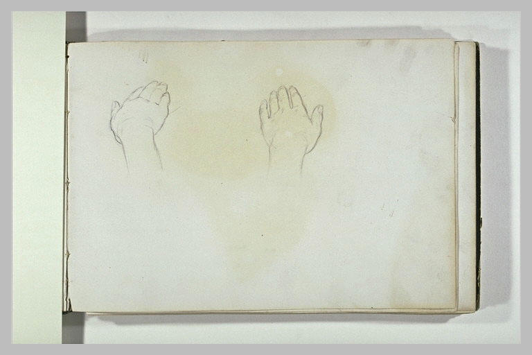 Deux études de mains_0
