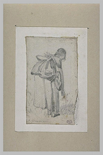 Femme, vue de dos, se penchant pour moissonner_0